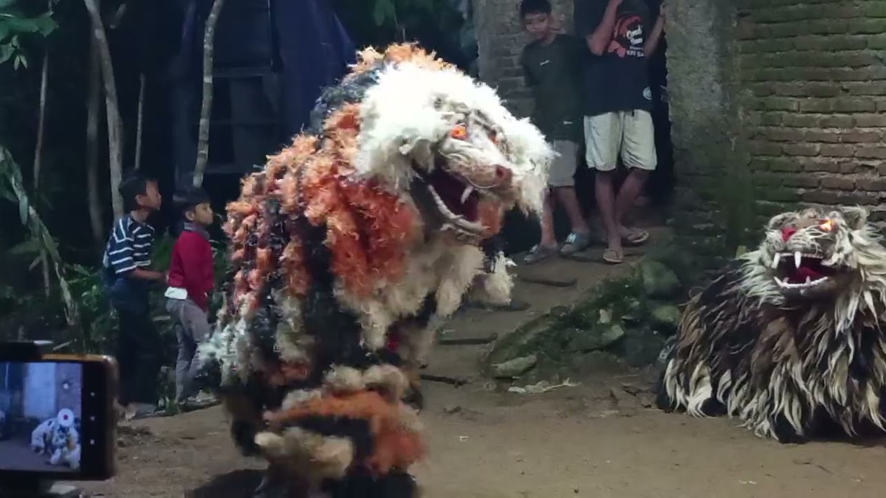Munculnya barongan tak bersaudara 