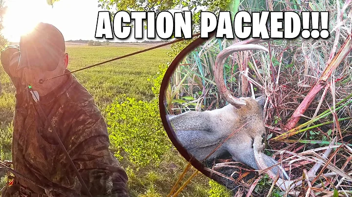 Success In Nebraska! - Public Land Whitetails