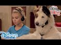10 throwbacks from dog with a blog  disney channel uk
