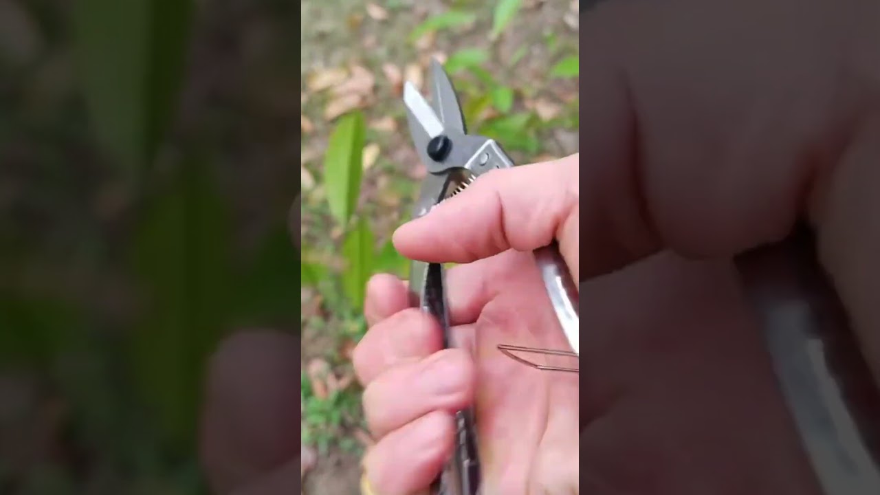 multipurpose scissors for caring  