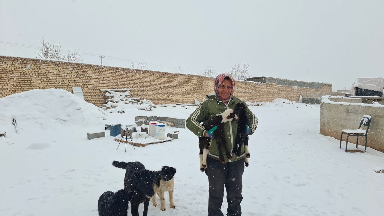 Iranian Nomadic Life | Beautiful Snowy Morning & Simple Cooking
