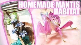 How To Make a Homemade Praying Mantis Habitat