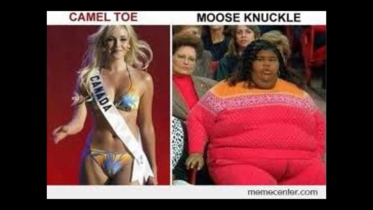 Moose knuckle camel toe