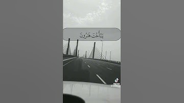 سورة مريم فاتت به قومها تحمله قالوا يامريم لقد جئت شيئا فريا