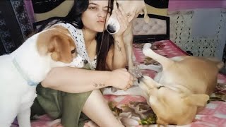 These Children Have Caused Me A Lot Of Pain Today