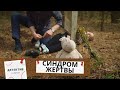 МУЖ ТИРАН ГРОЗИТСЯ ОТОБРАТЬ СЫНА И ПЕРИОДИЧЕСКИ ИЗБИВАЕТ ЕЕ,ОНА РЕШАЕТСЯ НА СТРАШНОЕ! Синдром Жертвы