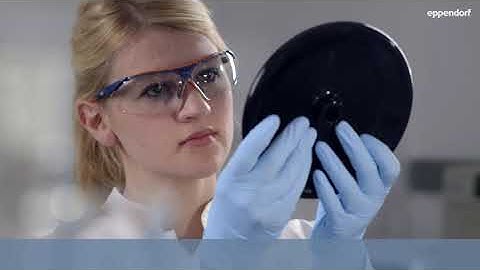 Labteamet - Eppendorf - The Basis for Your Lab Safety   Centrifuge Training and Maintenance