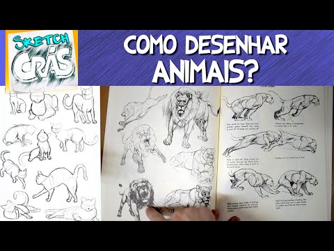 Vídeo: Como Desenhar Animais