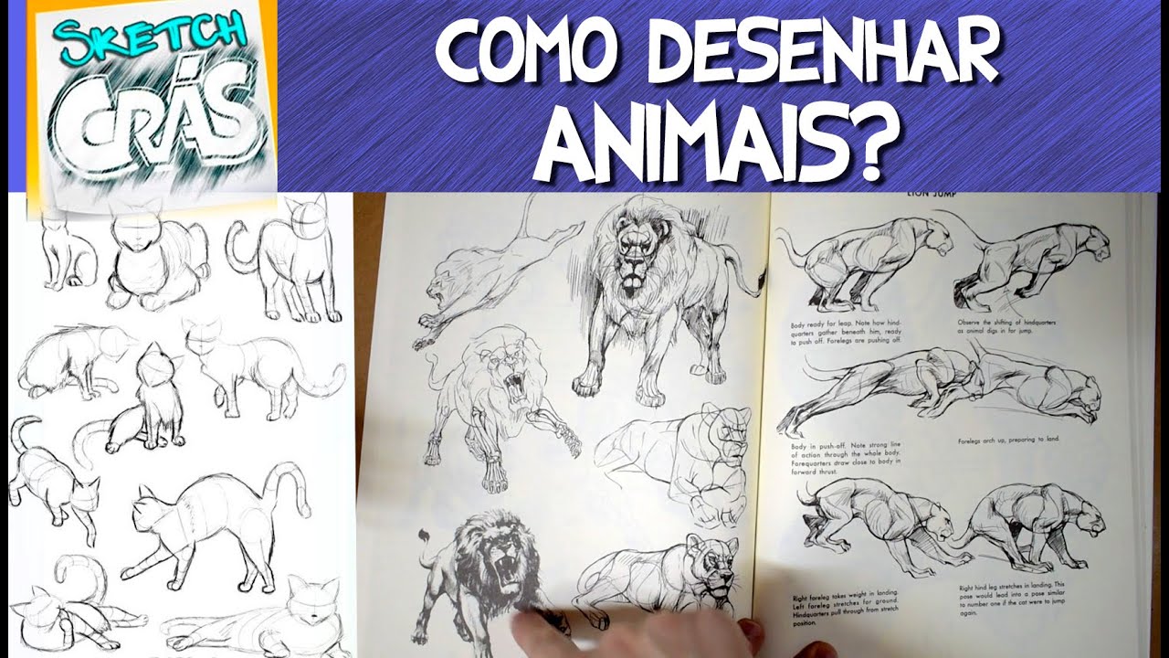 Aprenda a Desenhar: Aprenda a desenhar animais