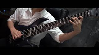 Animals As Leaders - Apeirophobia - Solo On BASS