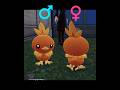 御三家ポケモンのオスメス違いまとめ！♂♀Starter Pokémon Gender　#ポケモンza #pokemonlegendsza #pokemon