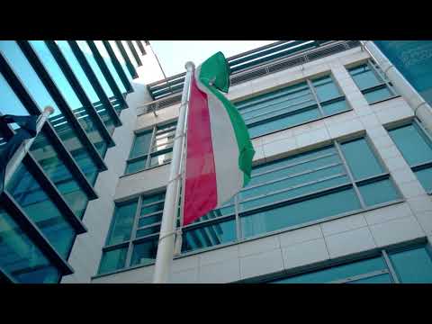 Sports Science Üniversitesi - Budapeşte videosu 1