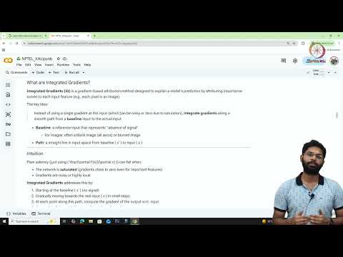 Lec 26 Hands-on implemenation of XAI methods