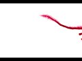 Dragon animation