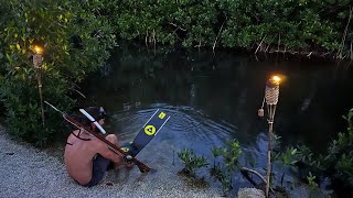 Night Spearfishing In The Mangroves | Spear Clean Cook