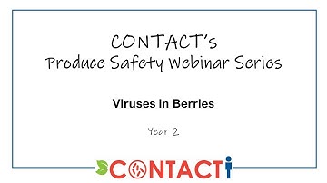 Human Enteric Virus Contamination of Soft Fruits: Management of Risk in the Face of Uncertainty