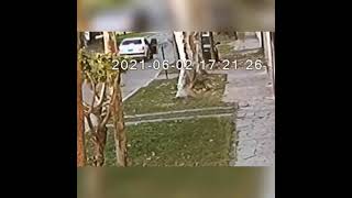 Intento De Secuestro En Wilde La Atropellaron.