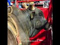 Bull Riding - Quick Look Inside the Chute !! #rodeo #cowboys #bullriding