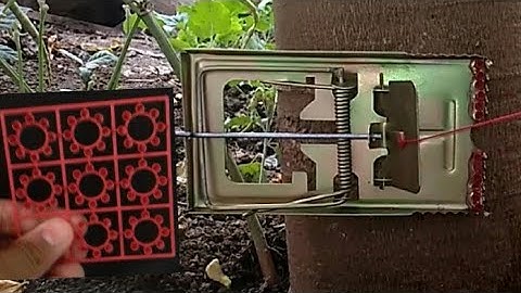 #HomemadeMouseTrap#How to Make a Mousetrap Trip Wire Alarm |DIY