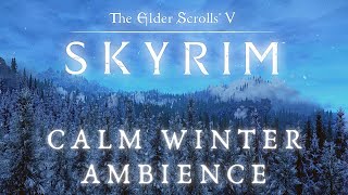 Skyrim SE 4K Ambience | Winter Ambience | Sleep, Study, Ambient Snow & Wind | No Music [8 Hrs]