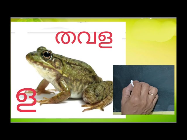 യ ര ല വ ശ ഷ  സ ഹ ള ഴ റ എങ്ങനെ എഴുതാം class=