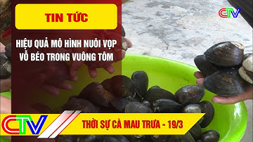 Thời sự Cà Mau trưa 19.3.2023 | Hiệu quả mô hình nuôi vọp vỗ béo trong vuông tôm.