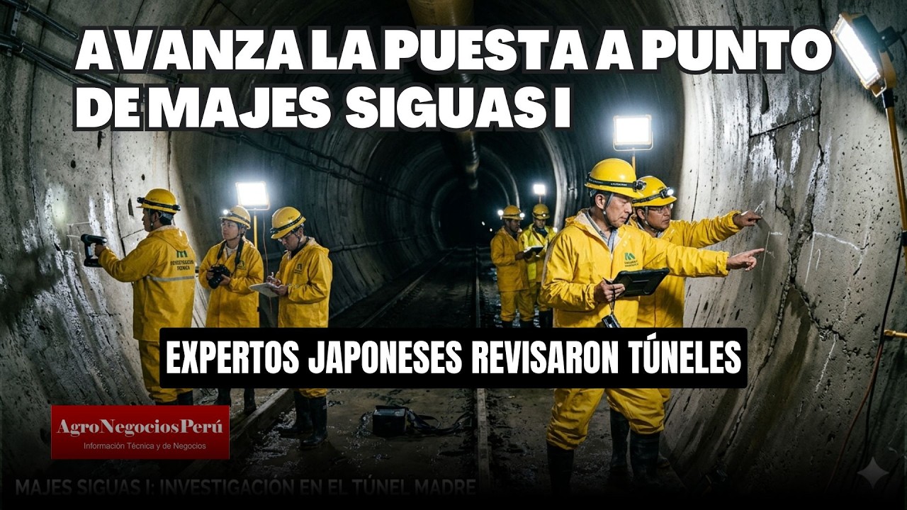 Se ha revisado 101 kilómetros de túneles y canales estratégicos para Majes Siguas I y II
