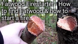 Fatwood Firestarter   How to find Fatwood & how to start a fire with it.