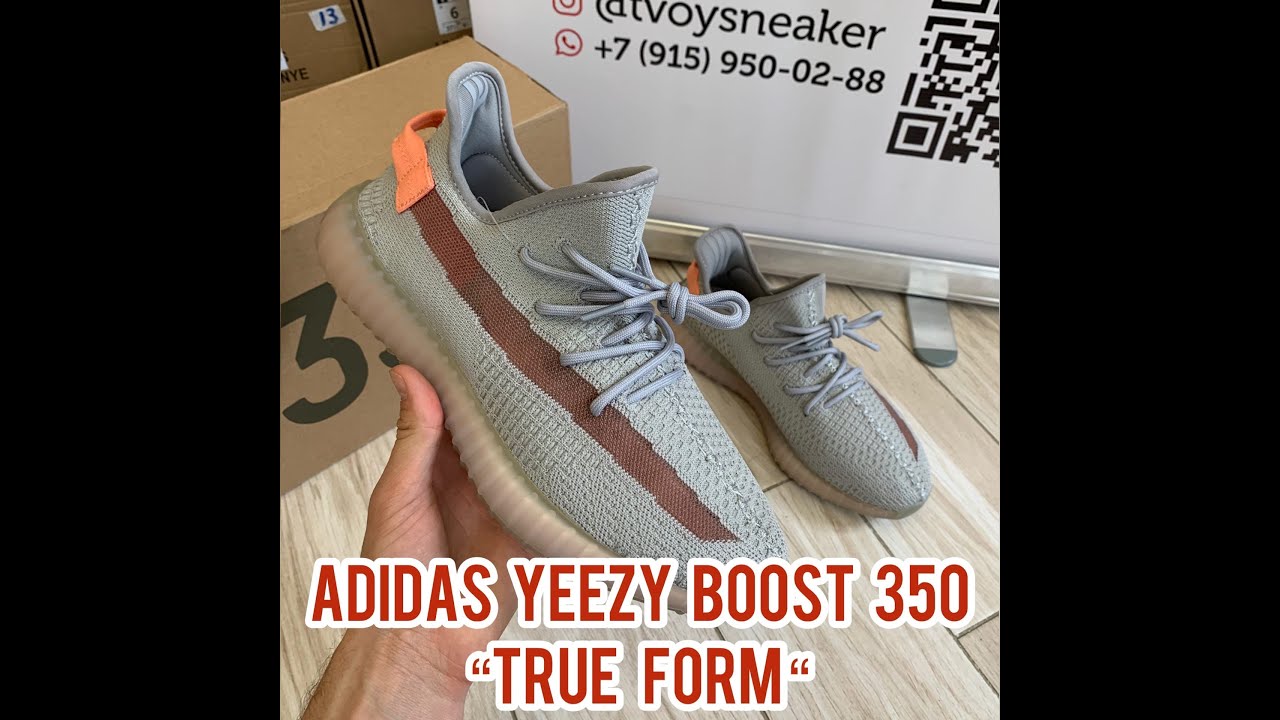 Adidas Yeezy Boost 350 “True Form”