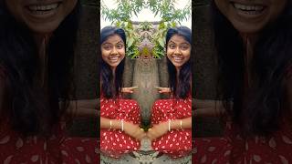 2pregnent Women Are Dancing Play To Dram  comedy