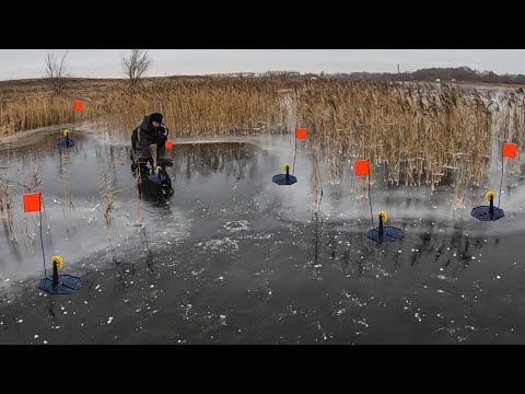 Видео: Сам не ПОВЕРИЛ! Начал проверять жерлицы.. А тут! Жесть а не рыбалка! Первый лёд 2023-24!