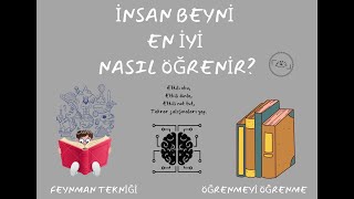 Öğrenmeyi Öğrenme I İnsan Beyni En Iyi Nasıl Öğrenir?