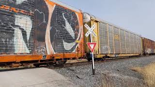 CSX Mixed Freight Train near Vandalia, IL