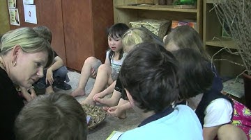 Connecting with Practice Series NQS PLP  - Word game