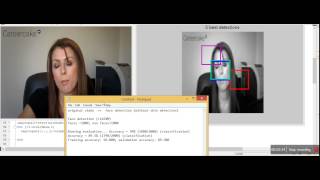 face detection without skin detection  ( Using SVM)