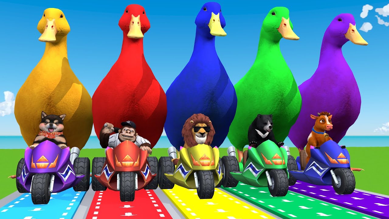 5 Giant Duck Cartoon, Cow, Lion, Bear, Tiger, Monkey Paint Wild Animals Crossing Fountain Animation