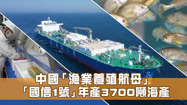 国信1号：全球首艘10万吨级智慧渔业工船 - 天天要闻