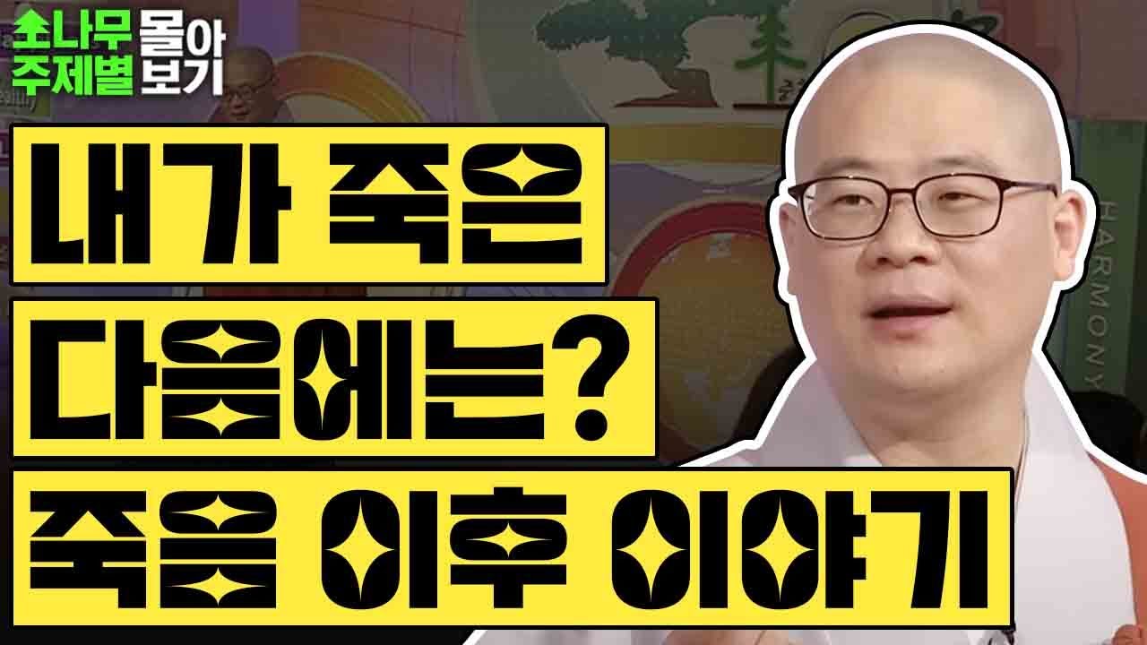 내가 죽고 나면 어떻게 될까? 죽음 이후 이야기✨  [광우스님 소나무 주제별 몰아보기]