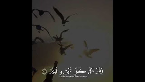 القارئ ياسر الدوسري   /قرآن كريم/ مقاطع قصيرة/ تلاوة عطرة خاشعة/ حالات واتساب دينية