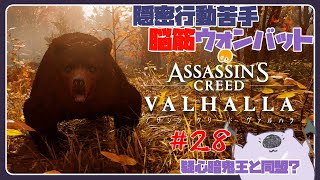【脳筋アサクリ28】ASSASSINS CREED VALHALLA 【#こむらいぶ】