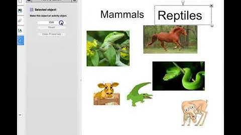 SmartBoard Activity Builder