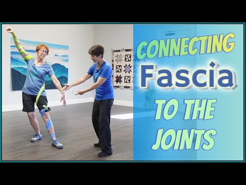 Connecting Fascia to the Joints: Tai Chi Push Hands Secret