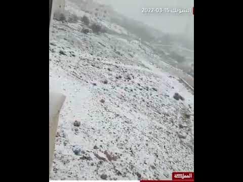 الشوبك الحبيبه مسقط راسي جبريل الغنميين