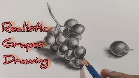 Best shading techniques || grapes 3D drawing || for beginners #shadingtechnique #grapesdrawing #art