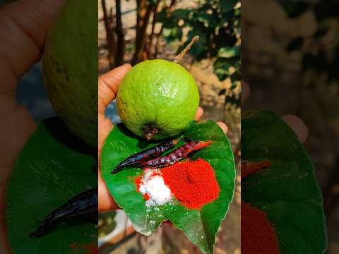 enjoying guava masala 😋🤤‼️#trending #shorts #viral #food #recipe #reels #video #short #fruit #guava