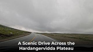 A Scenic Drive Across the Hardangervidda Plateau | Driving Norway in Real Time 4K 50FPS
