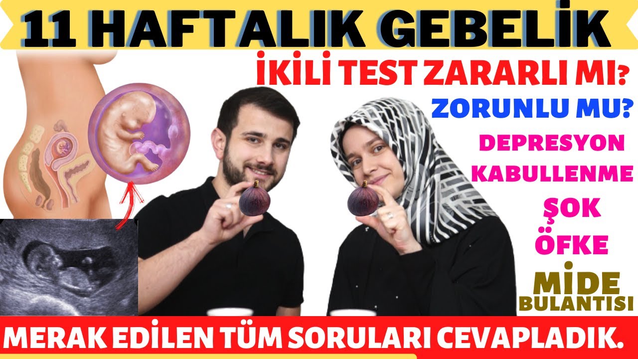 11 Haftalık Gebelik Döneminde Neler Oluyor? @rabiasahin