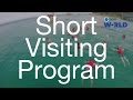 Short visiting programs with mahidol university international college  muic by mahidol