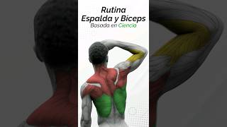 Rutina de Espalda y Bíceps | #calistenia basada en ciencia #streetworkout