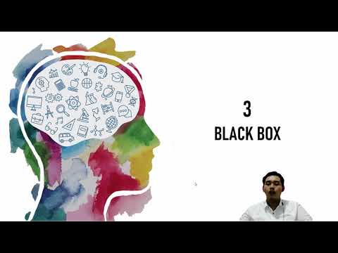 Video: Apa model kotak hitam dari perilaku konsumen?
